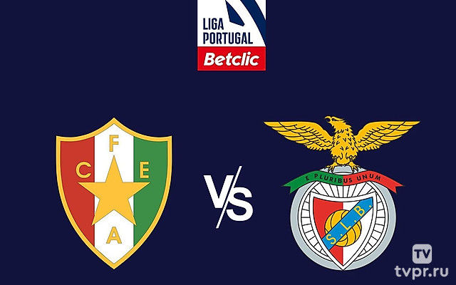 Футбол. Чемпионат Португалии 24/25.Эштрела - Бенфика