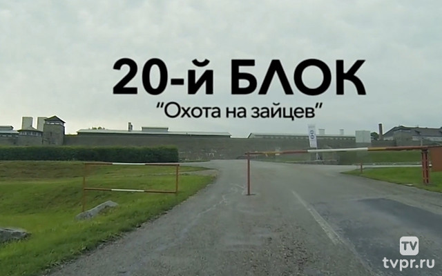 Охота на зайцев