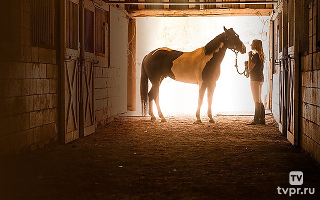 Сердце чемпиона