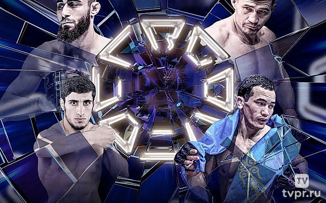 Шоу Octagon 66 (MMA, профессионалы)