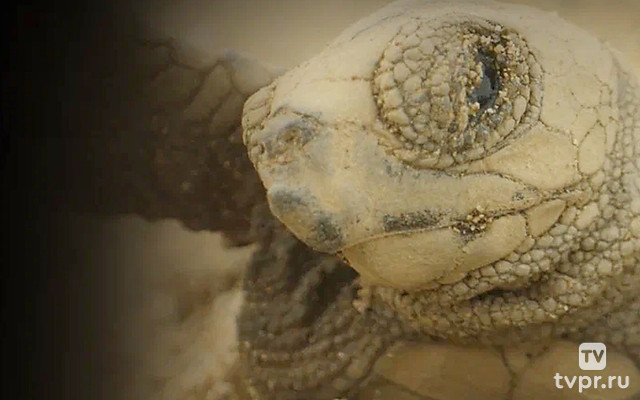 Островной рай - Новая Каледония