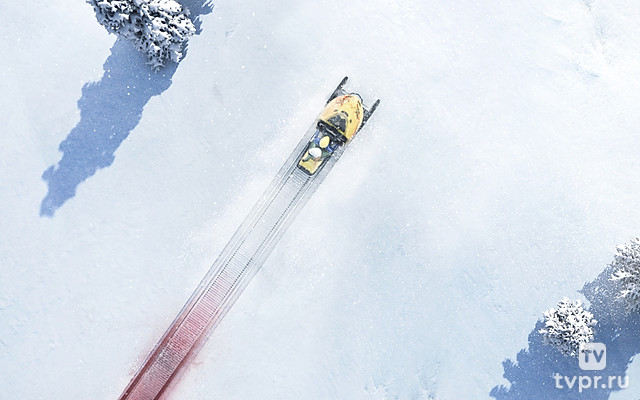 Полярный круг