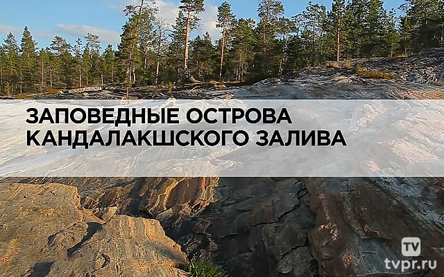 Заповедные острова Кандалакшского залива