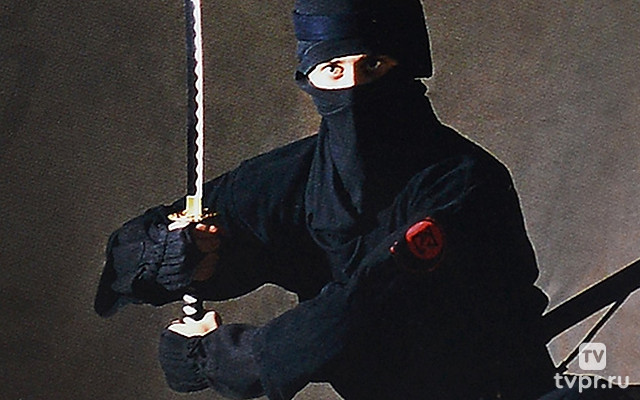 Ниндзя. Демоны ночи