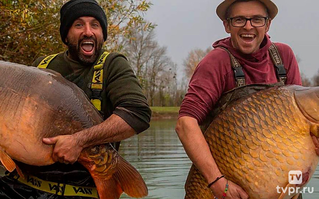 Чудовищный карп