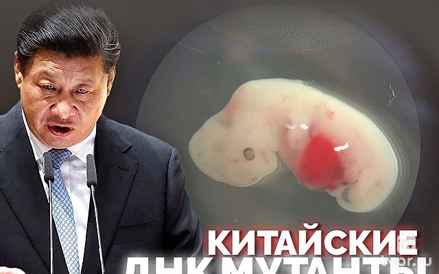 ДНК мутанты из Китая