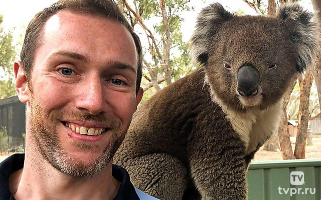 Ветеринар из Шотландии