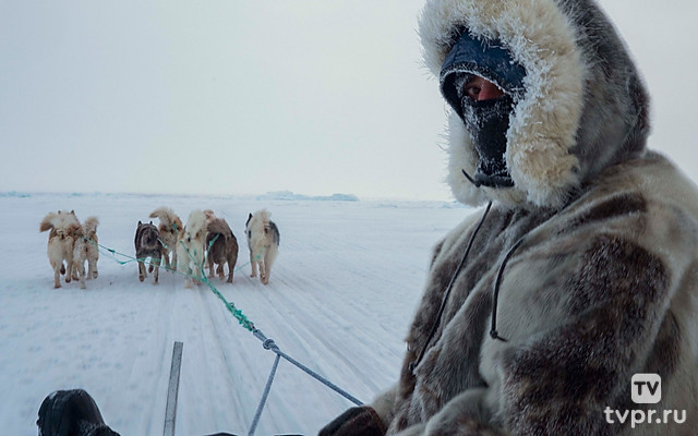 Гренландец