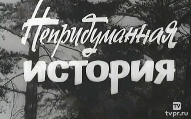 Непридуманная история