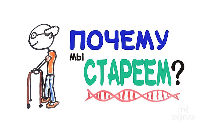 Почему мы стареем?