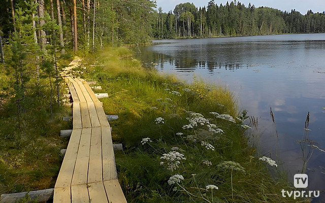 Большая Валдайская тропа - Анатолий Кретов