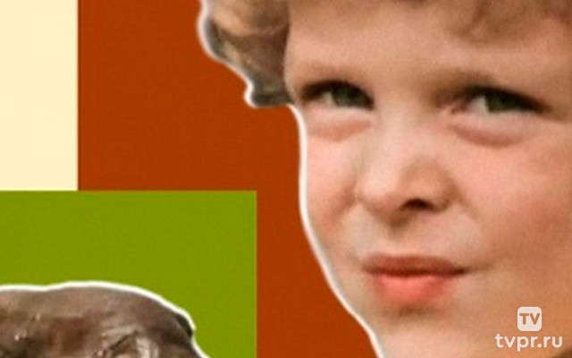 Боба и слон