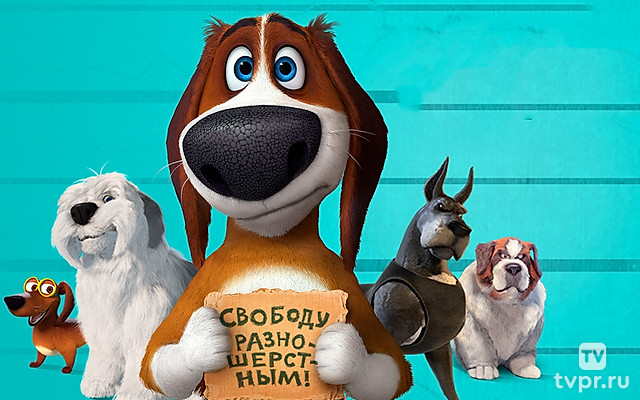 Большой собачий побег