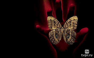 И грянул гром