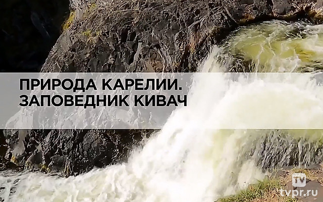 Природа Карелии. Заповедник Кивач