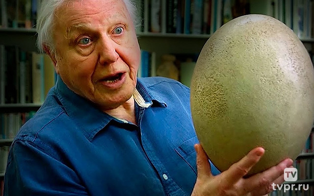 Ученые начинают клонирование динозавров