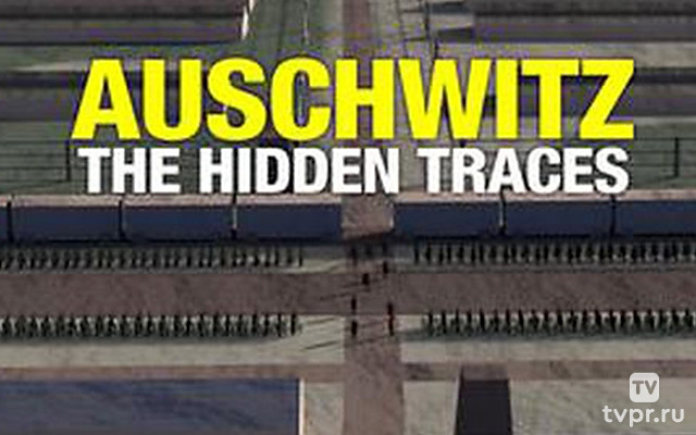 Освенцим: скрытые следы