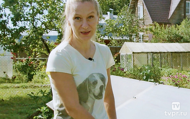 Тепличные истории