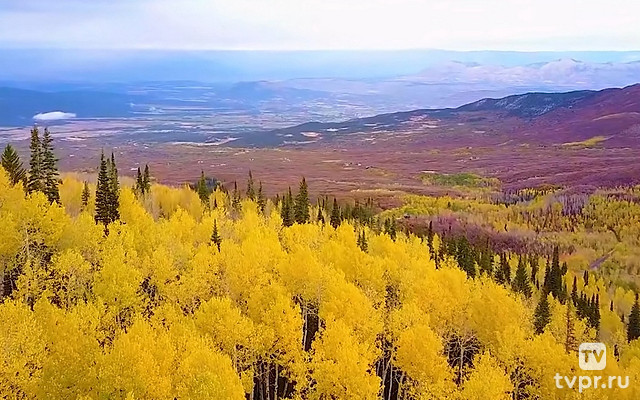 Что скрывал Сталин о Беломорканале? Главная тайна Вождя