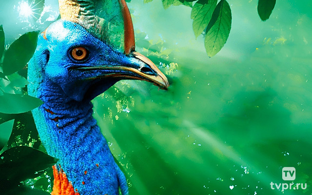 Райские острова