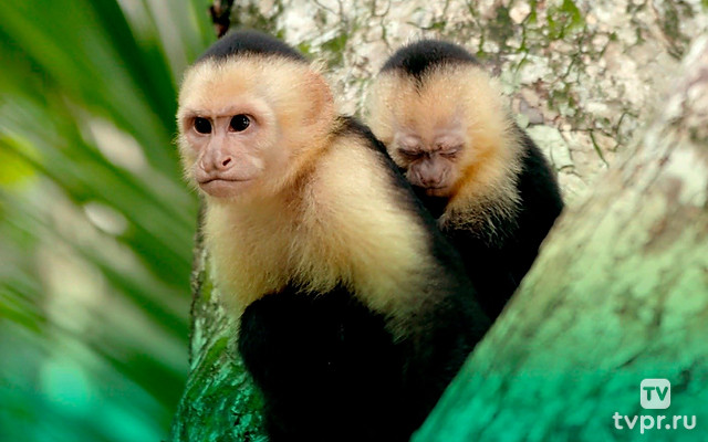 Горячие точки. Последняя надежда