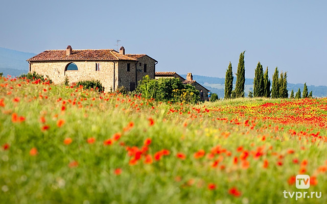 Дом, милый дом