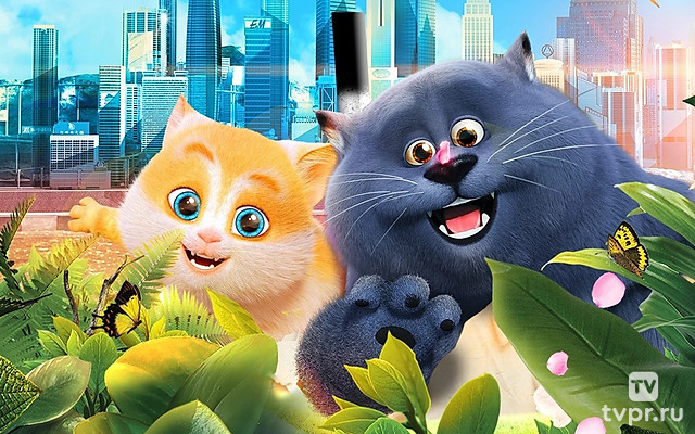 Большой кошачий побег