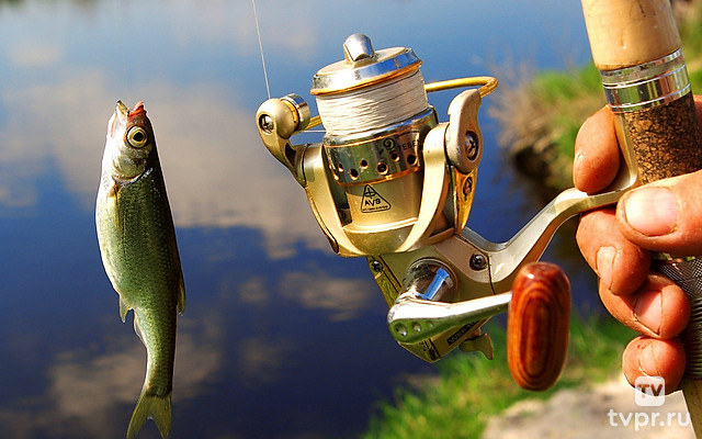 Рыбалка в Абхазии