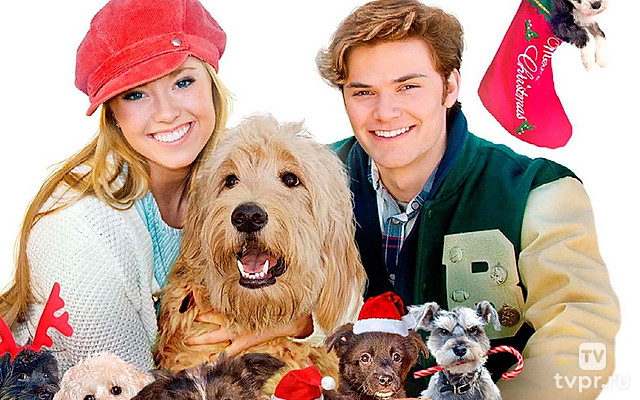 12 рождественских собак: Спасение приюта для щенков