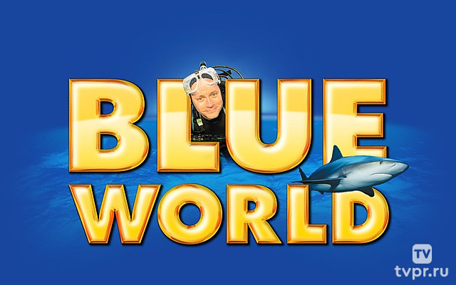 Подводный мир