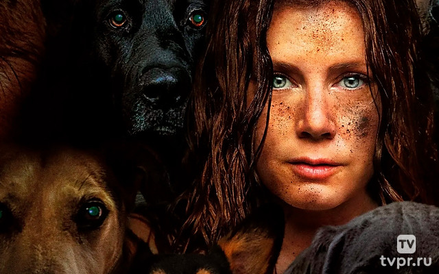 Ночная сучка