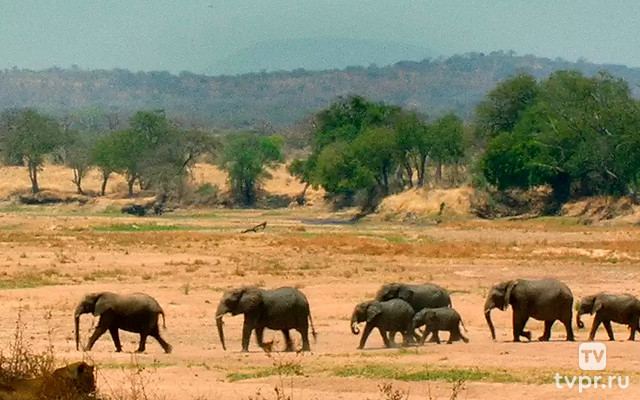 Последнее убежище