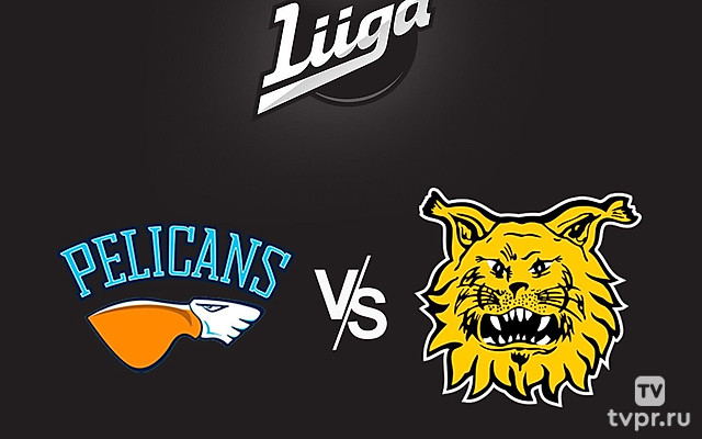 Хоккей Финская Хоккейная Лига Liiga. Регулярный сезон 2024/25. Пеликанс (Лахти) - Ильвес (Тампере)