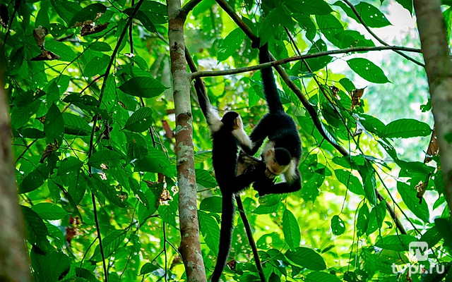 Соединяя континенты