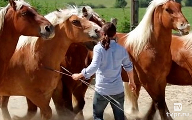 В свете софитов