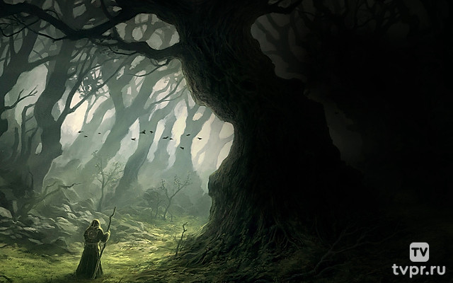 Мифы и чудовища