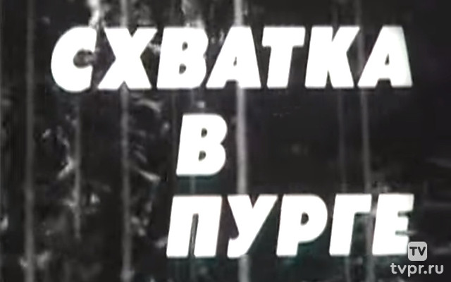 Схватка в пурге