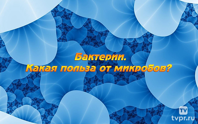 Бактерии. Какая польза от микробов?