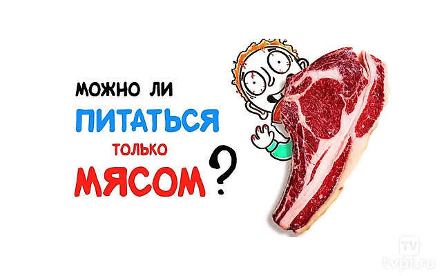 Можно ли питаться только мясом?