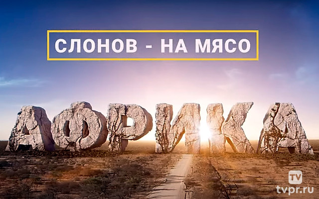 Африка. Слонов на мясо