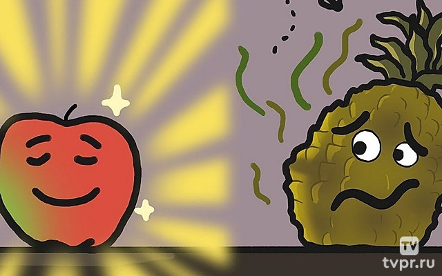 Почему одни фрукты дозревают, а другие портятся