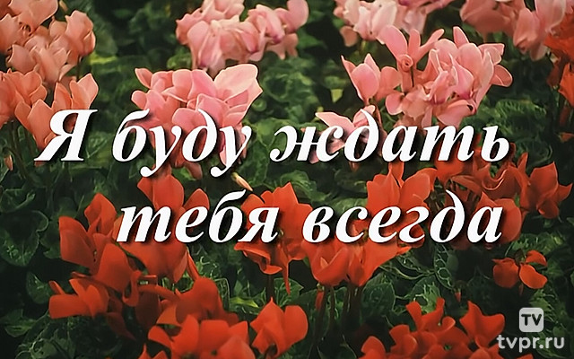 Я буду ждать тебя всегда