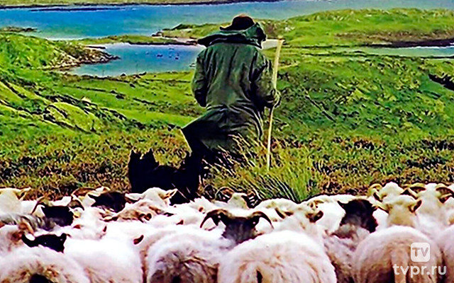 Старина Боб