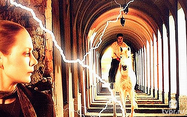 Всё не случайно