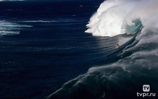 Проект Ахерон