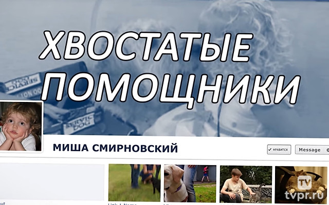 Хвостатые помощники