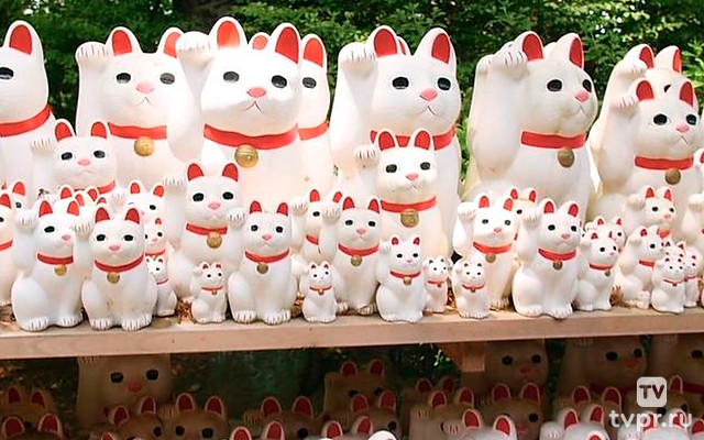 Страна кошек