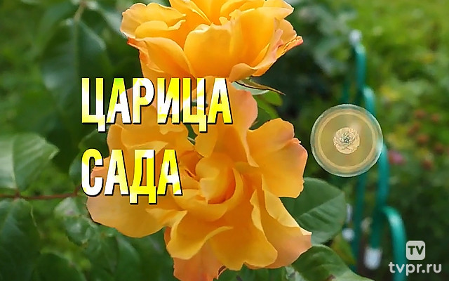 Царица сада