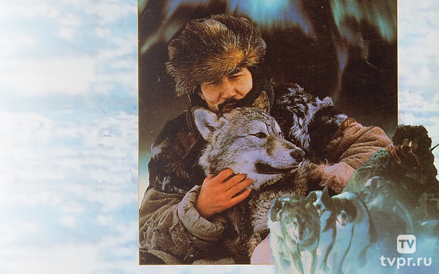 Под северным сиянием