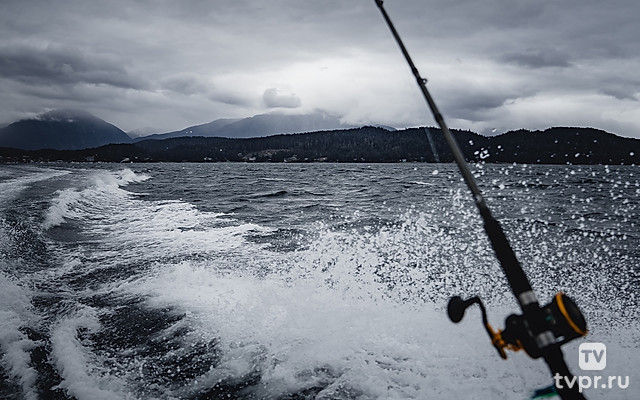 Рыболовная волна